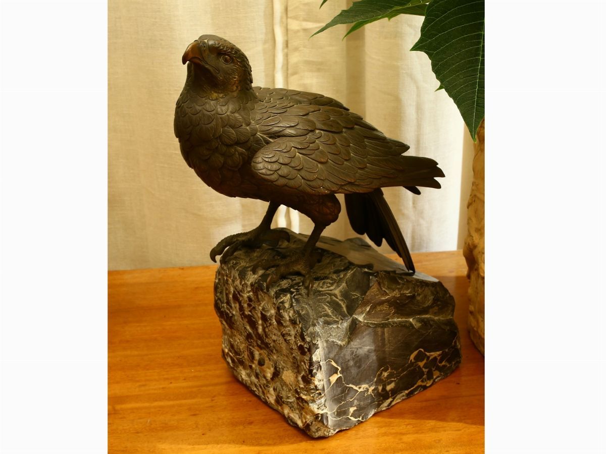 Aquila