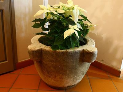 Monumentale Mortaio in Marmo Bianco