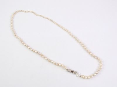 Collana di Perle Coltivate Scalari con Fermezza in Argento