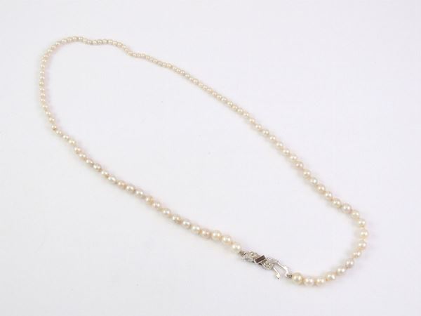 Collana di perle coltivate scalari con fermezza in argento