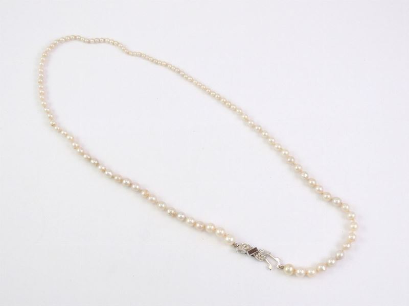 Collana di Perle Coltivate Scalari con Fermezza in Argento