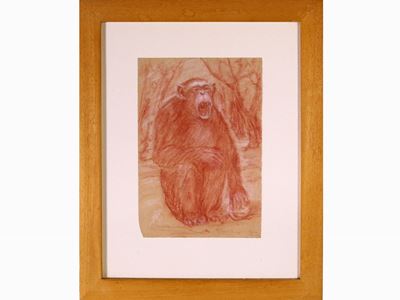 Studi di Animali