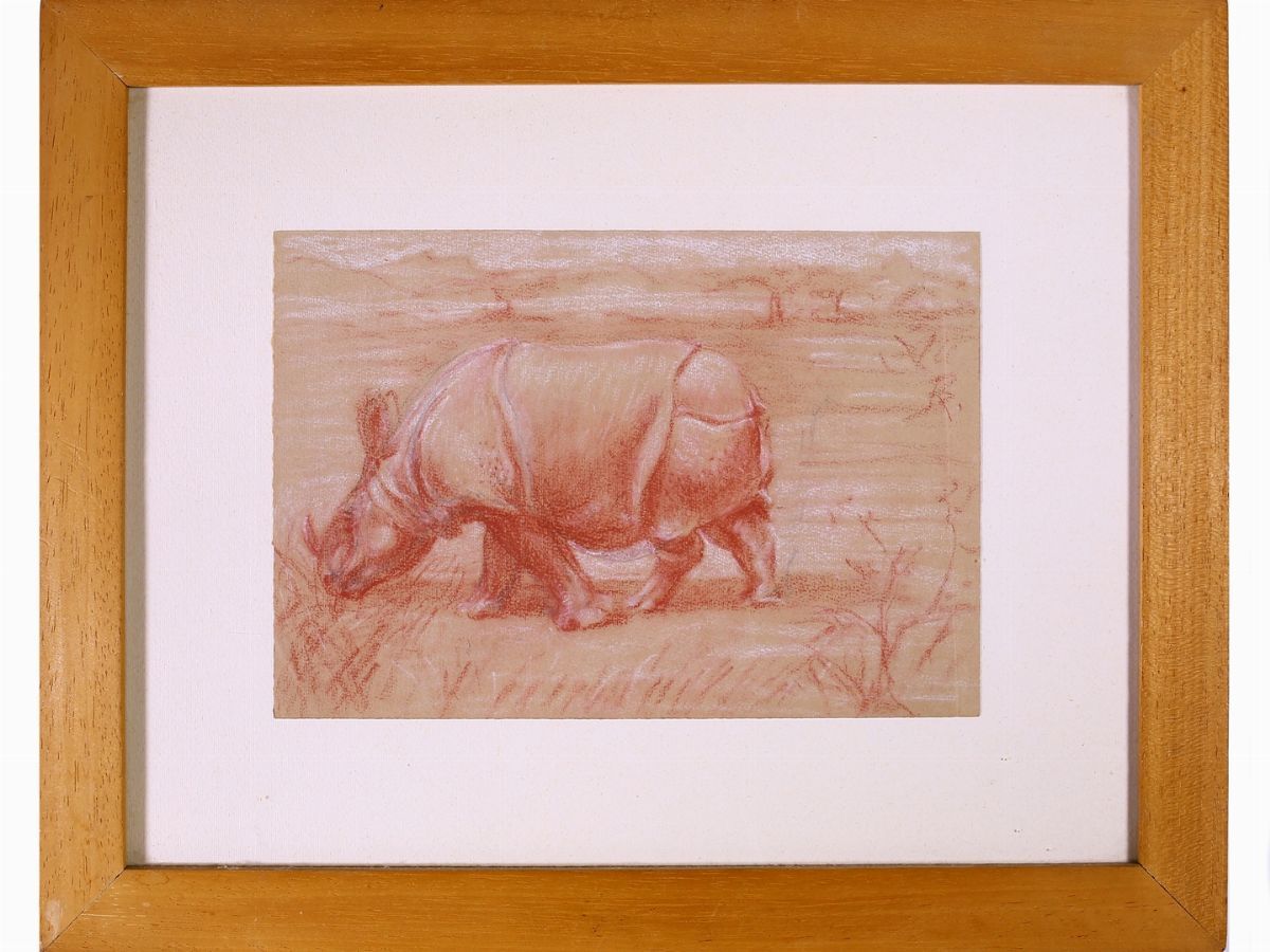 Romano Dazzi - Studi di Animali