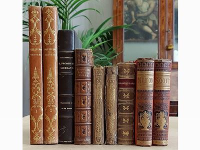 Lotto di Libri di Autori Inglesi