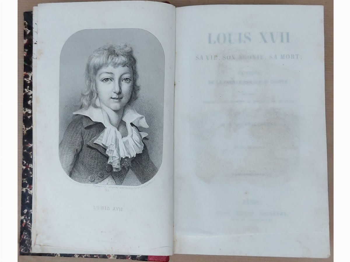 Alcide Beauchesne - Louis XVII: Sa Vie, Son Agonie, Sa Mort