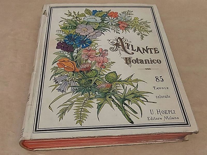 Giovanni Briosi - Atlante Botanico