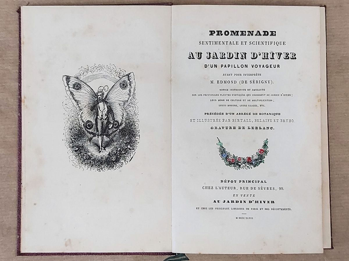 Lotto di Libri sui Giardini