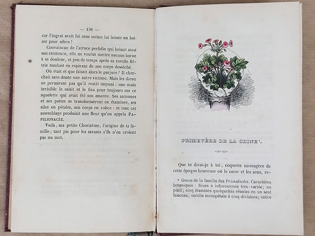Lotto di Libri sui Giardini
