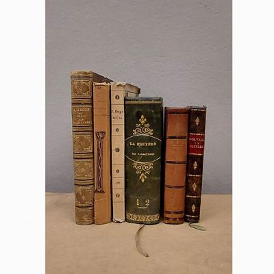 Lotto di Libri D'epoca Francesi