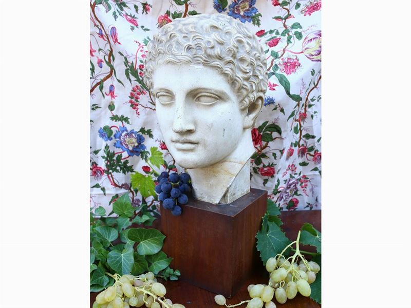 Testa Maschile Classica in Gesso