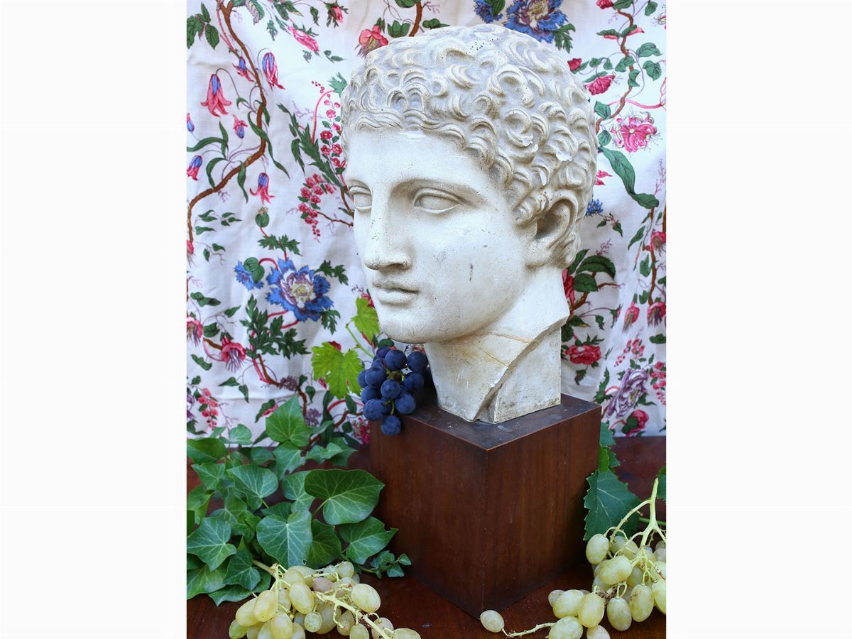 Testa Maschile Classica in Gesso
