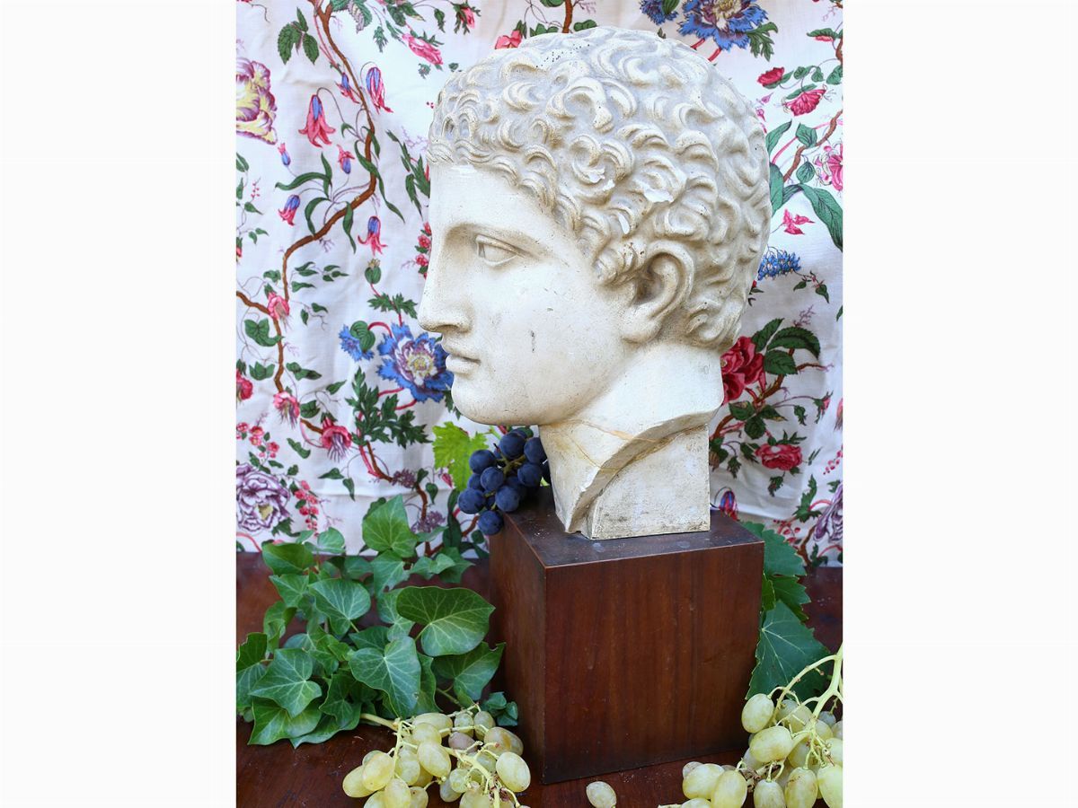 Testa Maschile Classica in Gesso