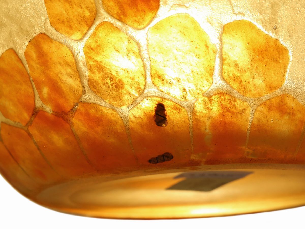 Vaso le Verre Français Decoro "chicorée"