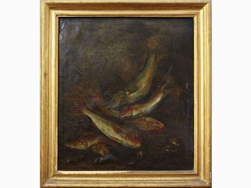 Pittore Fiammingo-olandese, Metà del XVII Secolo - Pesci e Conchiglie