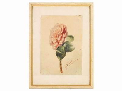 Fiori