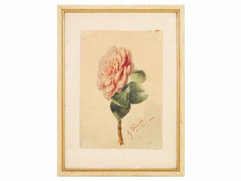 G. Pinotti - Fiori