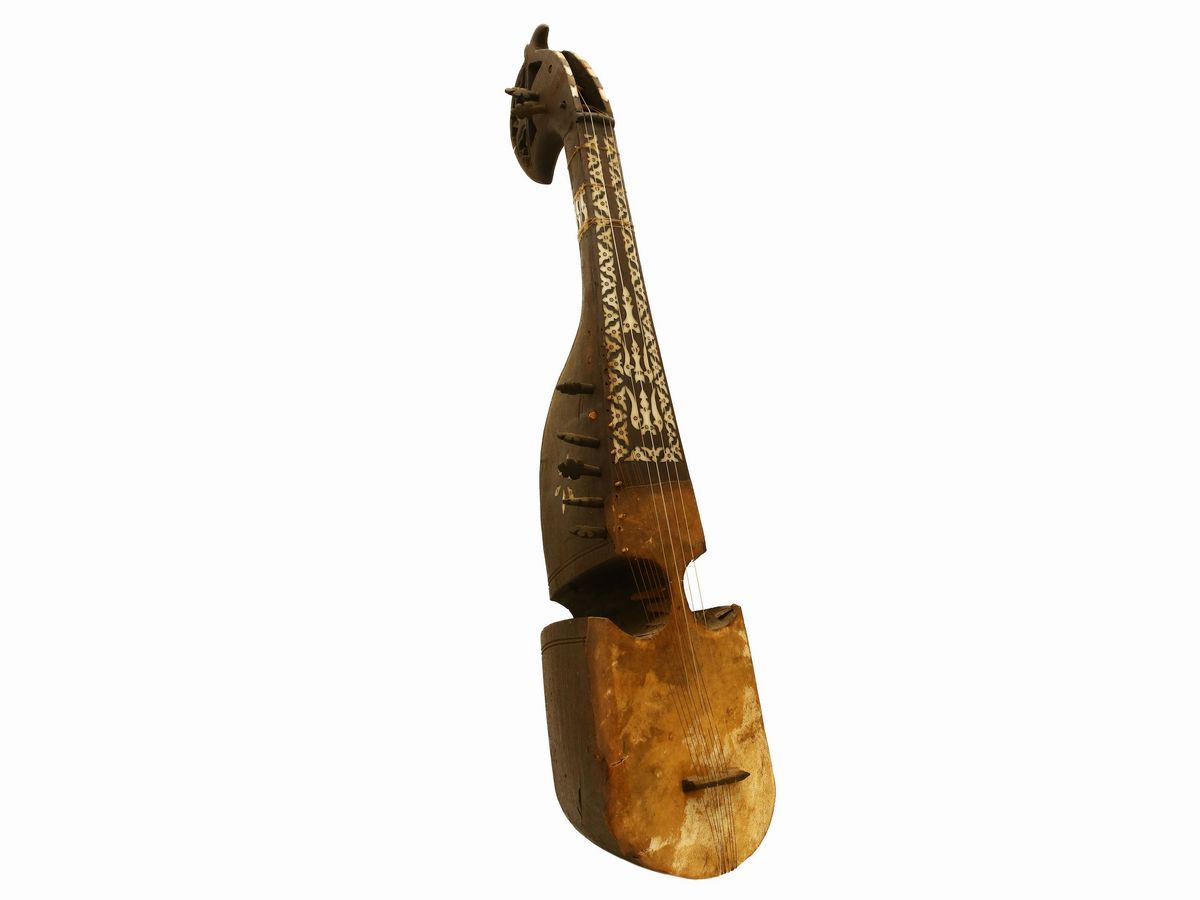 Un Sarangi e un Sarod