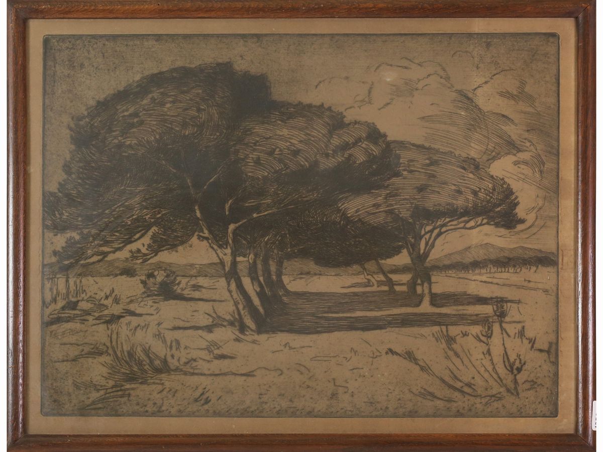 Emilio Mazzoni Zarini - Paesaggi con Alberi