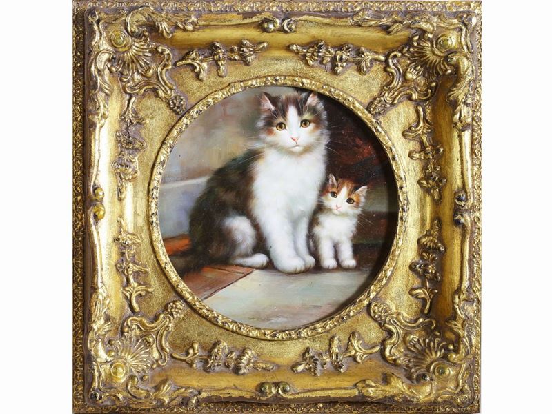 Gattini