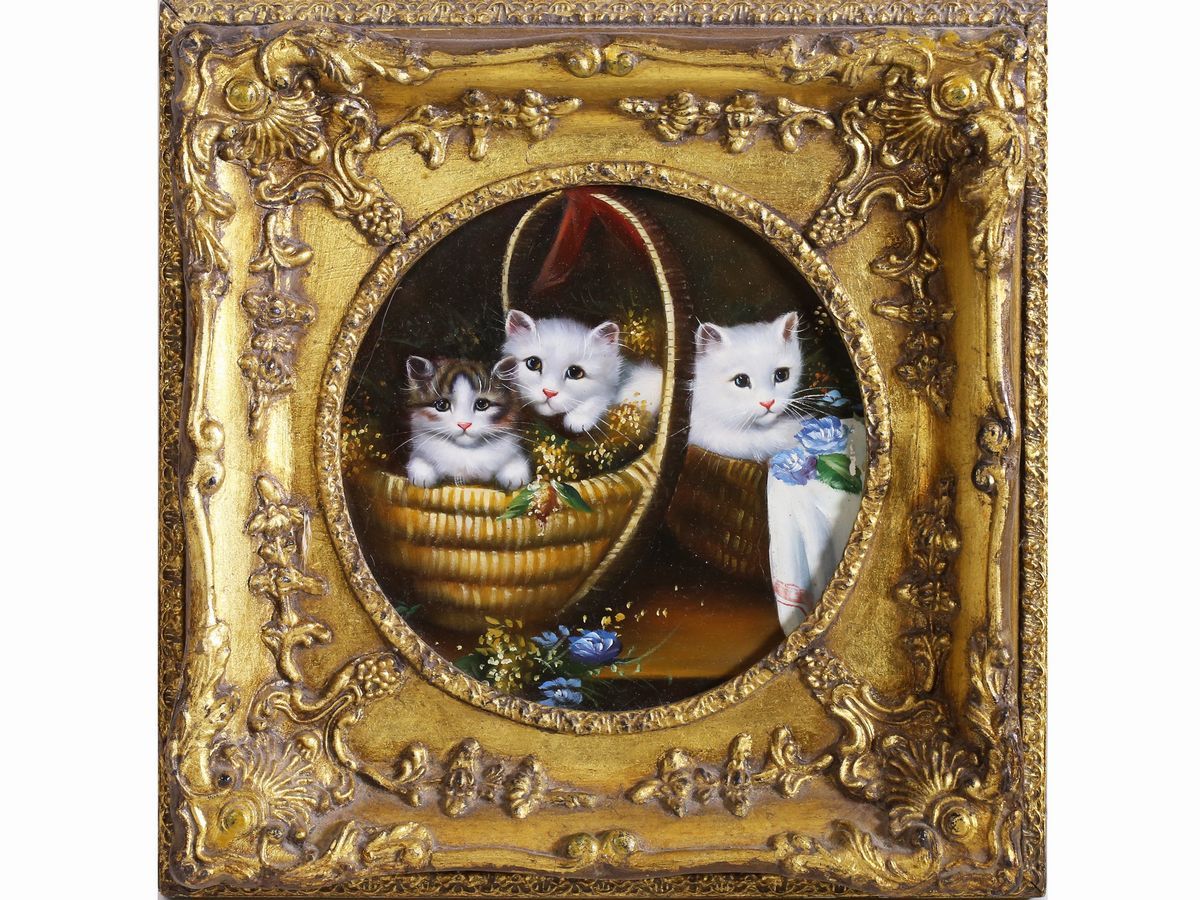 Gattini