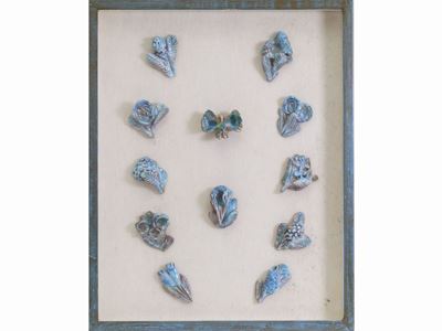 Fiori e Farfalla 1955