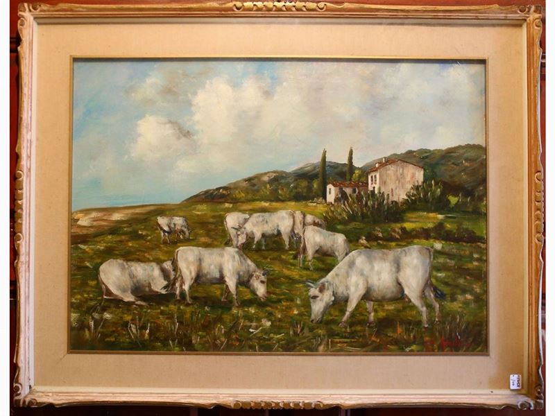 Lotto di Dipinti