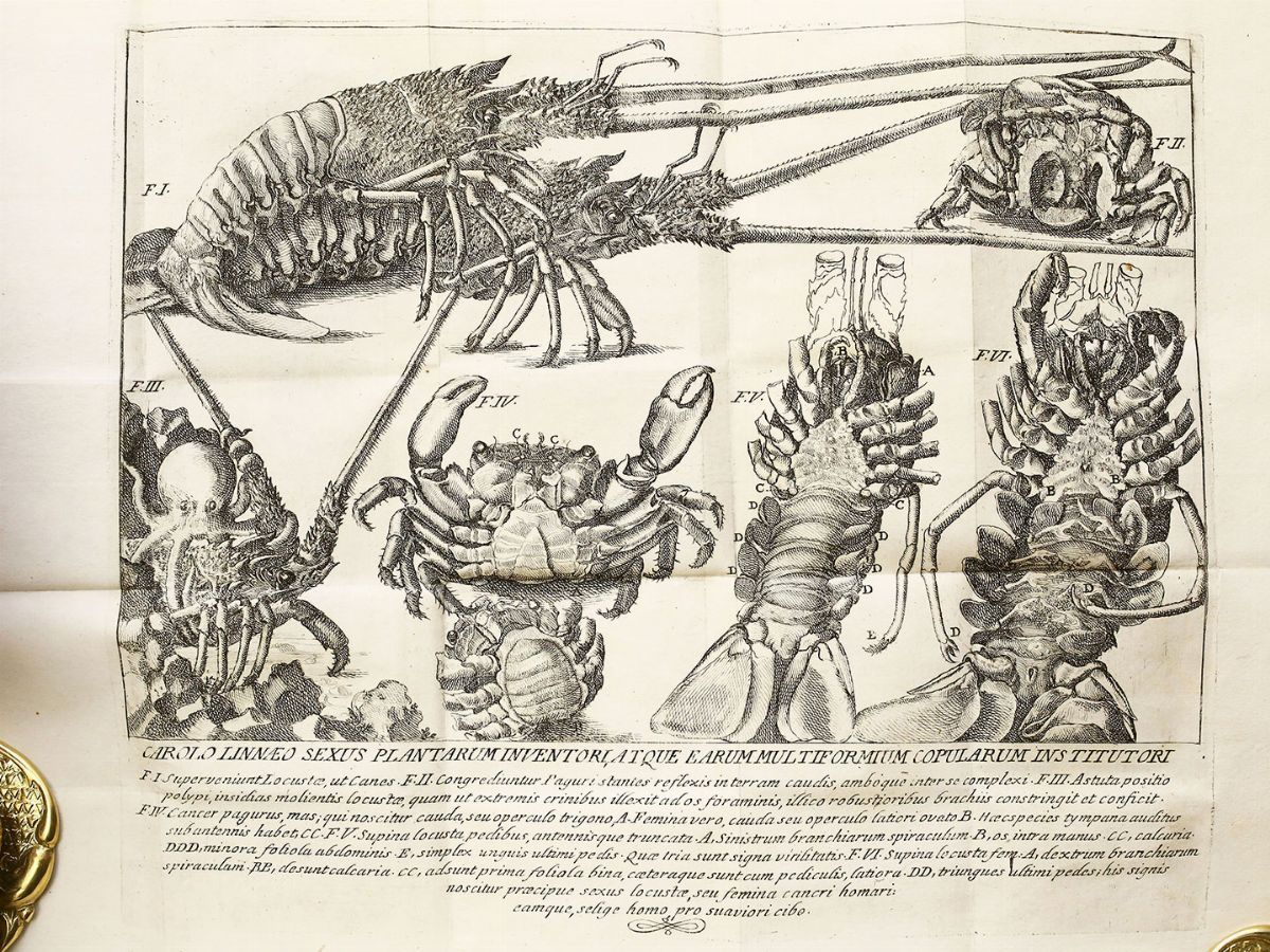 Antonio Minasi - Dissertazioni Sopra Diversi Fatti Meno Ovvj della Storia Naturale