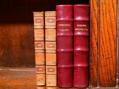 Lotto di Libri D'epoca Francesi