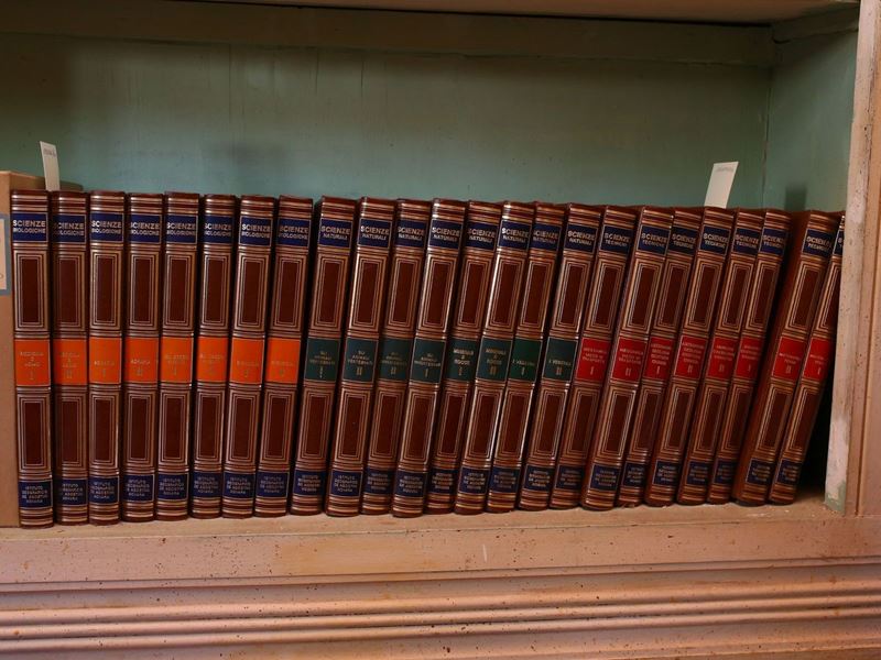 Bjorn Wiinblad per Rosenthal - Enciclopedia Italiana delle Scienze