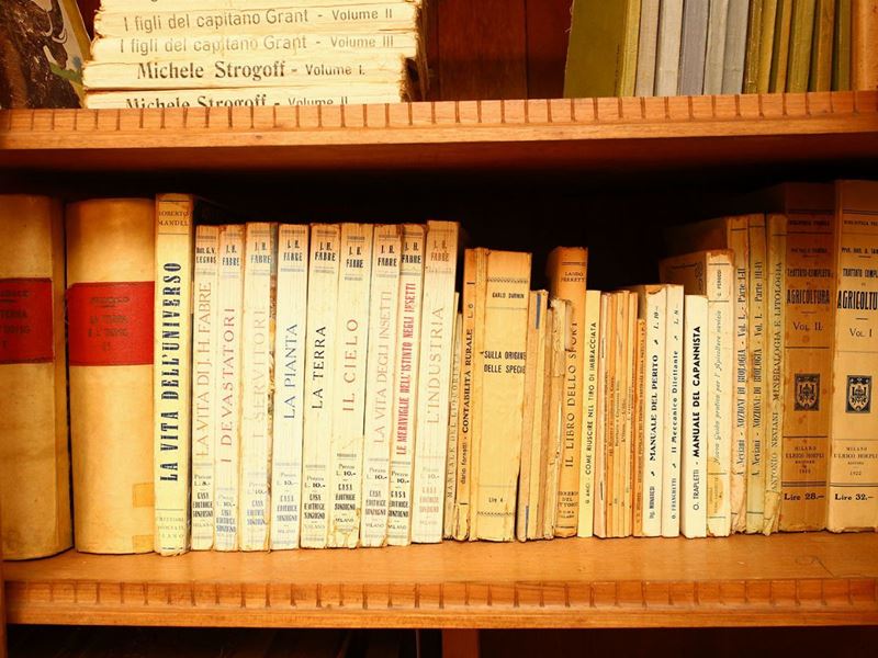 Bjorn Wiinblad per Rosenthal - Grande Miscellanea di Libri di Agraria/botanica/zoologia