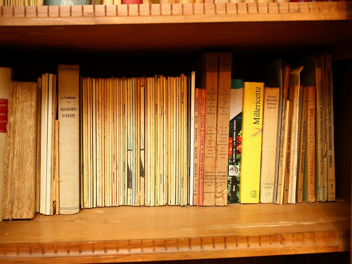 Bjorn Wiinblad per Rosenthal - Grande Miscellanea di Libri di Agraria/botanica/zoologia