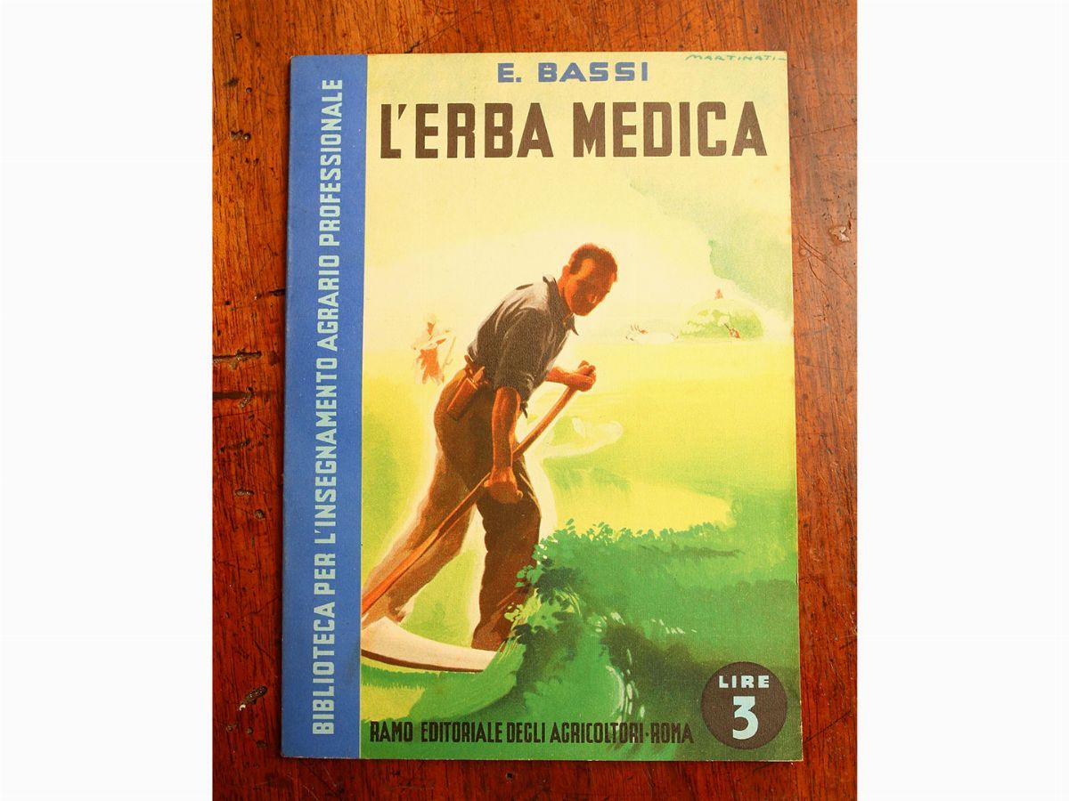 Bjorn Wiinblad per Rosenthal - Grande Miscellanea di Libri di Agraria/botanica/zoologia