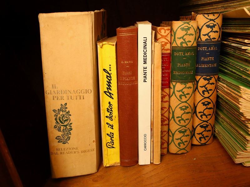 Bjorn Wiinblad per Rosenthal - Miscellanea di Libri e Riviste di Giardinaggio