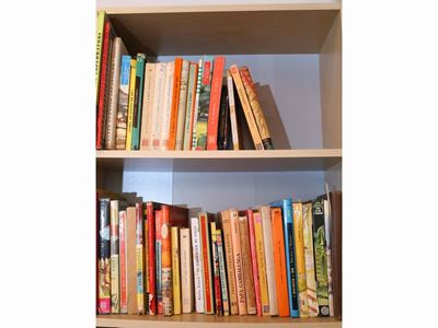 Miscellanea di Libri per Ragazzi