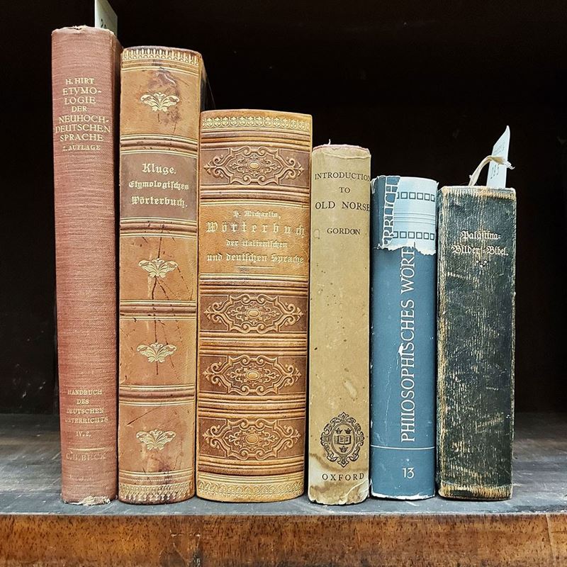 Miscellanea di Libri D'epoca tra Cui Dizionari