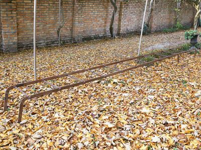 Antica Scala a Pioli di Servzio in Ferro