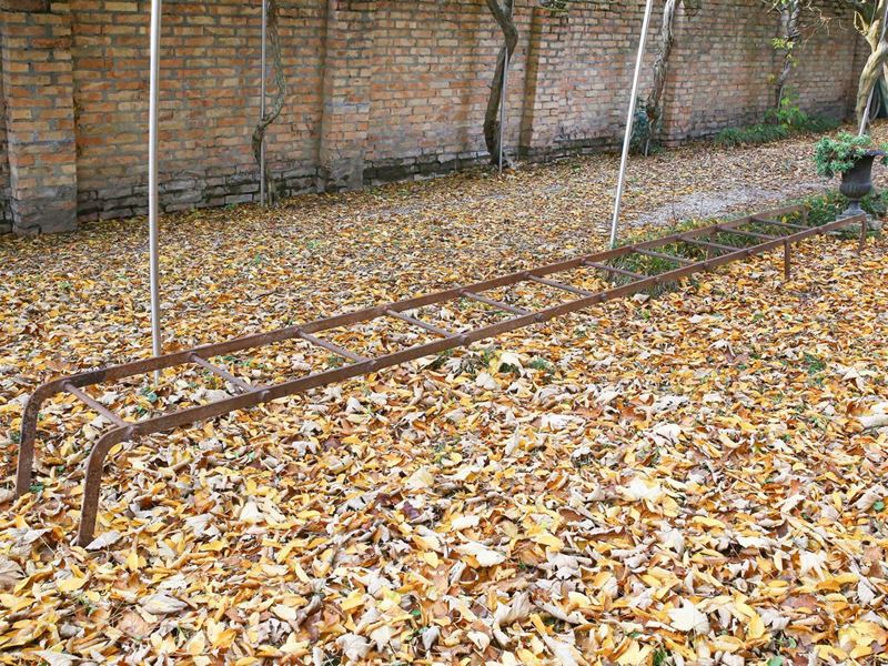 Antica Scala a Pioli di Servzio in Ferro