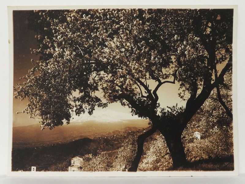Gaetano D'agata - Taormina Mandorli in Fiore, 1920 Circa