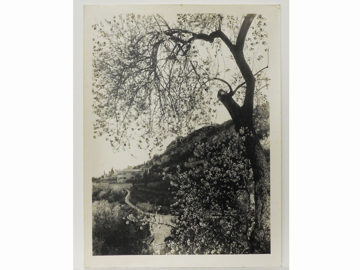 Gaetano D'agata - Taormina Mandorli in Fiore, 1920 Circa