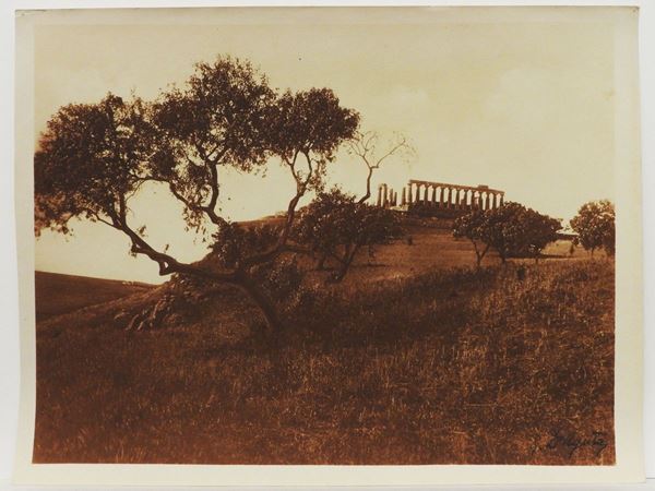 Gaetano D'Agata : Girgenti (Agrigento) Templi, 1920 circa  ((1883-1949))  - Auction Images of Sicily from the d'Agata Studio and other collections - Maison Bibelot - Casa d'Aste Firenze - Milano