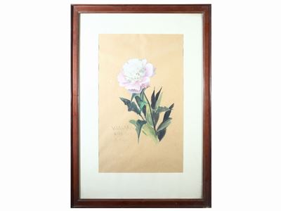 Fiori