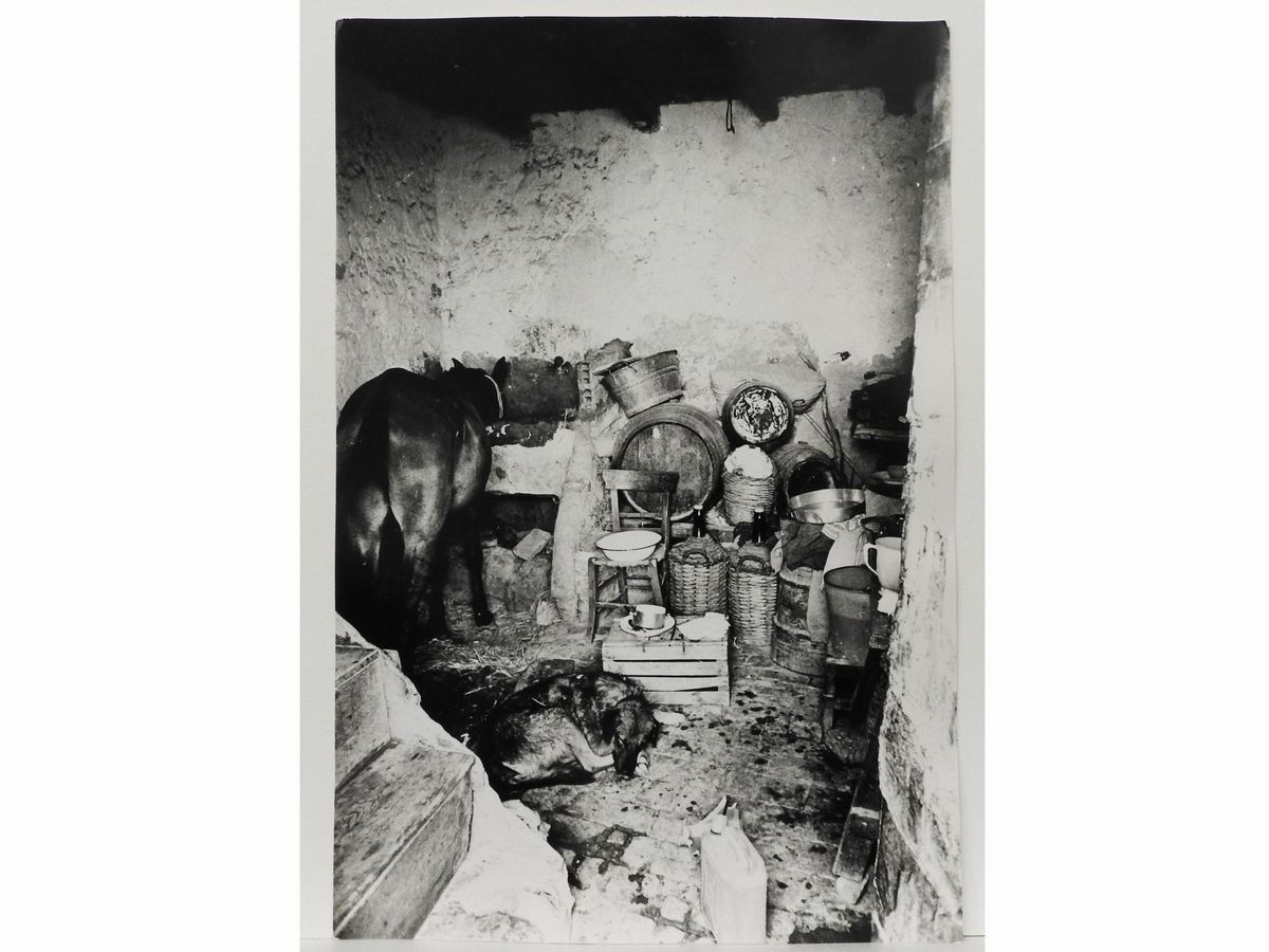 Mario Massai - Palma di Montichiaro Bimba e Stalla, 1970