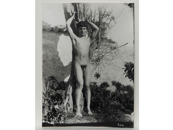 Wilhelm von Gloeden : Taormina Nudo maschile e albero, 1910 circa  ((1856-1931))  - Asta Immagini di Sicilia dallo Studio d'Agata ed altre collezioni - Maison Bibelot - Casa d'Aste Firenze - Milano