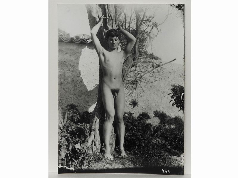 Wilhelm Von Gloeden - Taormina Nudo Maschile e Albero, 1910 Circa