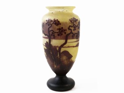 Vaso Schneider