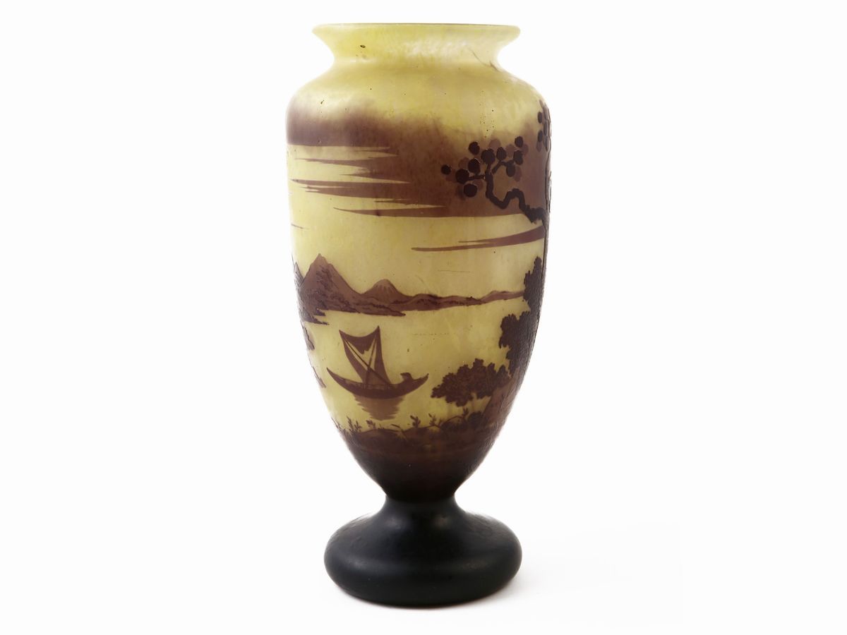 Vaso Schneider