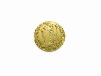 Moneta Doppio Luigi D'oro Luigi XVI di Borbone 1774-1793