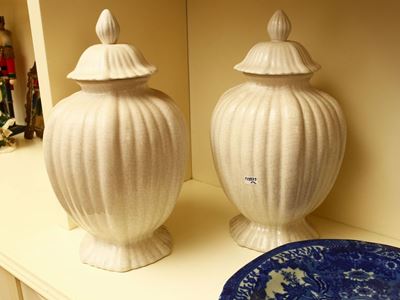 Coppia di Potiches in Terraglia