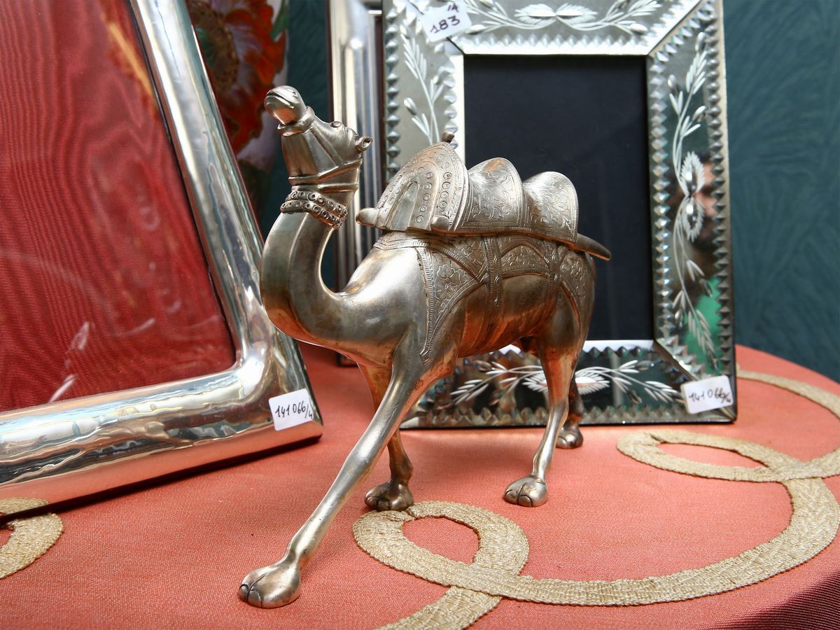 Cammello in Argento