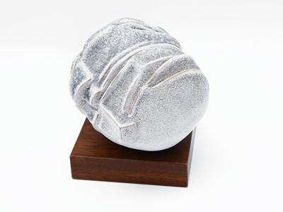 Sfera Fitomorfa